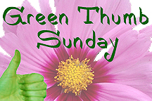 Green Thumb Sunday